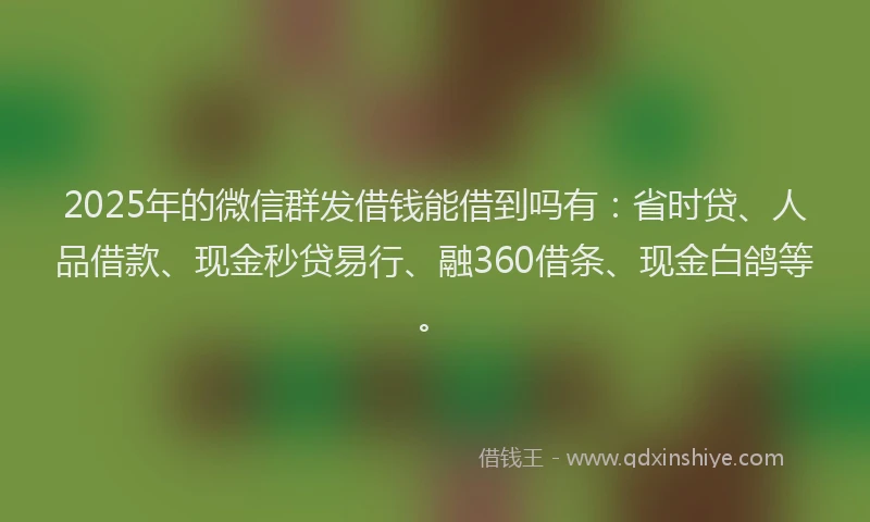 2025年的微信群发借钱能借到吗有：省时贷、人品借款、现金秒贷易行、融360借条、现金白鸽等。