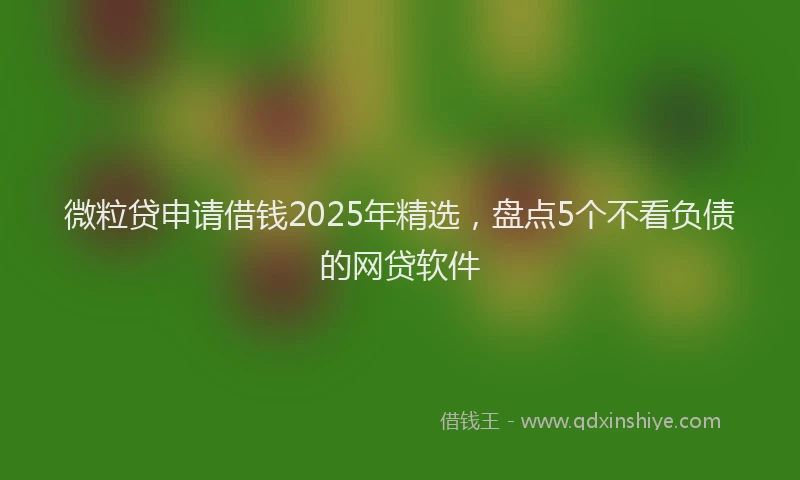 微粒贷申请借钱2025年精选，盘点5个不看负债的网贷软件