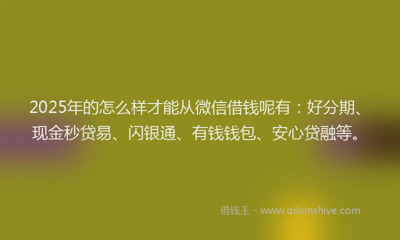 2025年的怎么样才能从微信借钱呢有：好分期、现金秒贷易、闪银通、有钱钱包、安心贷融等。