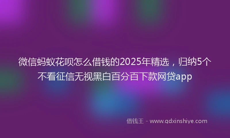 微信蚂蚁花呗怎么借钱的2025年精选，归纳5个不看征信无视黑白百分百下款网贷app