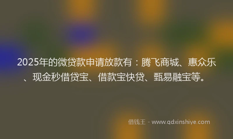 2025年的微贷款申请放款有：腾飞商城、惠众乐、现金秒借贷宝、借款宝快贷、甄易融宝等。