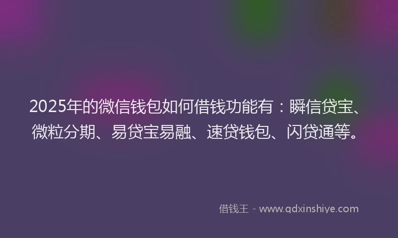 2025年的微信钱包如何借钱功能有：瞬信贷宝、微粒分期、易贷宝易融、速贷钱包、闪贷通等。