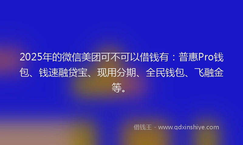 2025年的微信美团可不可以借钱有：普惠Pro钱包、钱速融贷宝、现用分期、全民钱包、飞融金等。