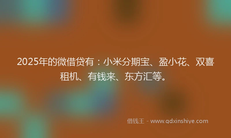 2025年的微借贷有：小米分期宝、盈小花、双喜租机、有钱来、东方汇等。