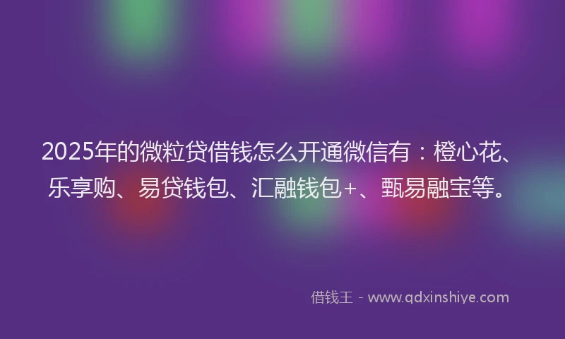 2025年的微粒贷借钱怎么开通微信有：橙心花、乐享购、易贷钱包、汇融钱包+、甄易融宝等。