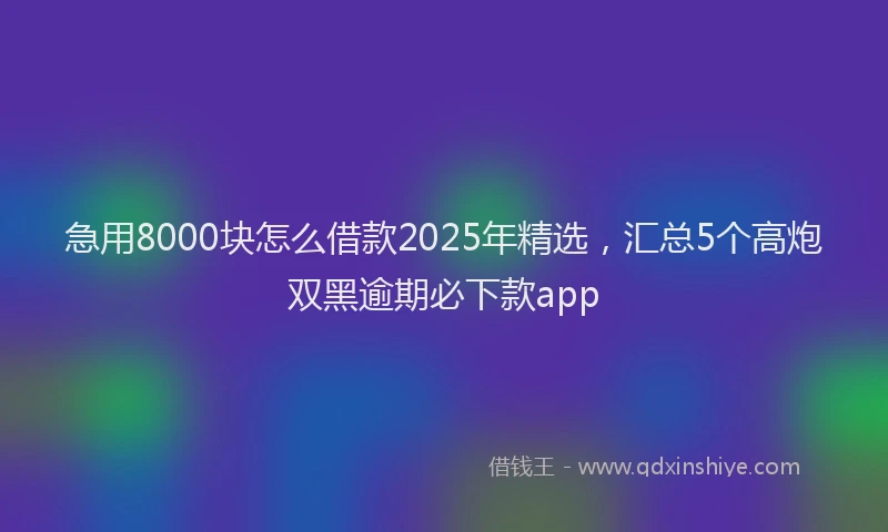 急用8000块怎么借款2025年精选，汇总5个高炮双黑逾期必下款app