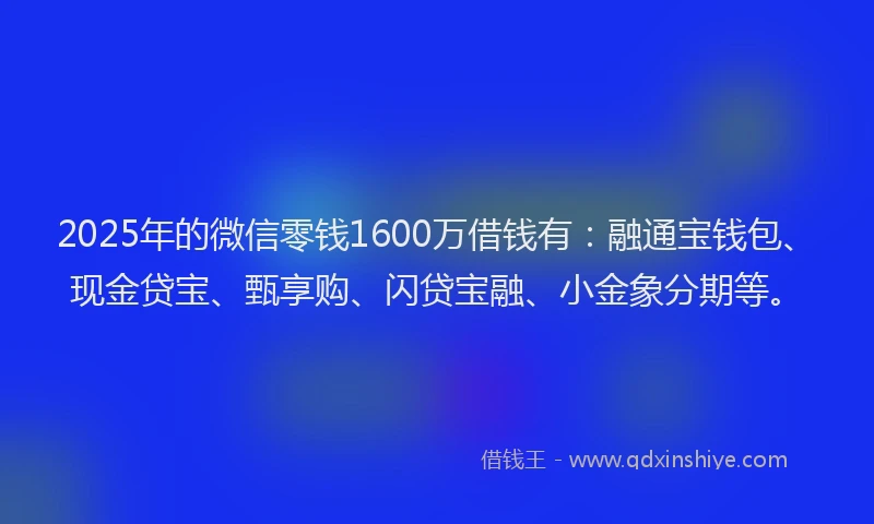 2025年的微信零钱1600万借钱有：融通宝钱包、现金贷宝、甄享购、闪贷宝融、小金象分期等。
