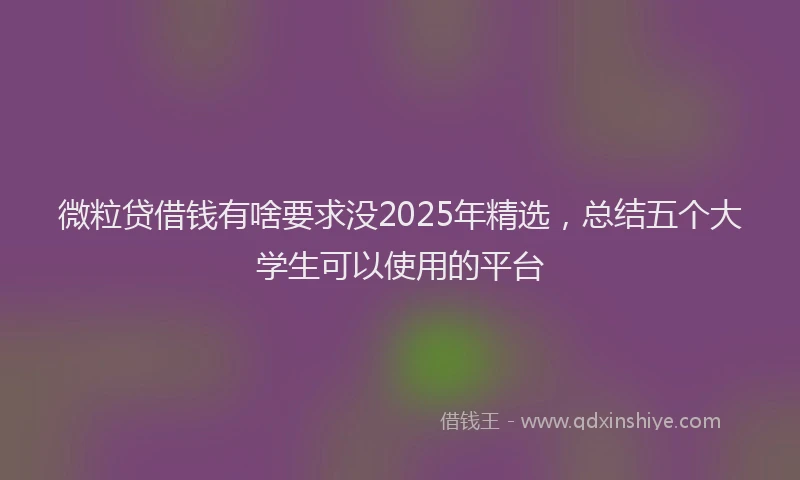 微粒贷借钱有啥要求没2025年精选，总结五个大学生可以使用的平台
