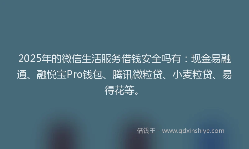 2025年的微信生活服务借钱安全吗有：现金易融通、融悦宝Pro钱包、腾讯微粒贷、小麦粒贷、易得花等。