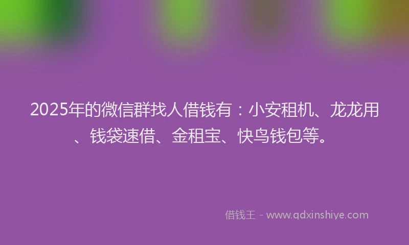 2025年的微信群找人借钱有：小安租机、龙龙用、钱袋速借、金租宝、快鸟钱包等。