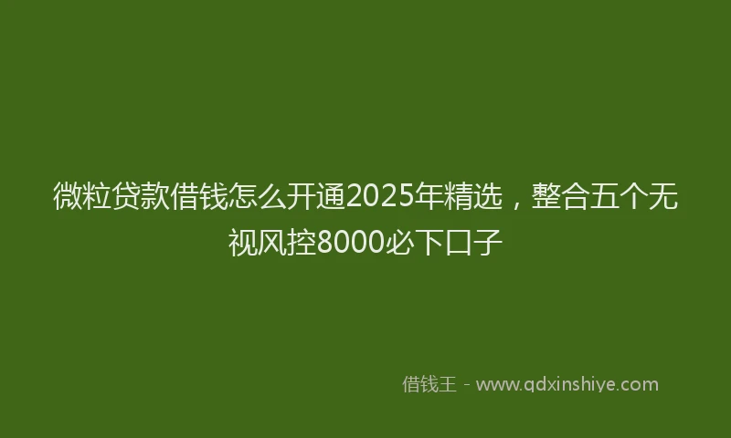 微粒贷款借钱怎么开通2025年精选，整合五个无视风控8000必下口子