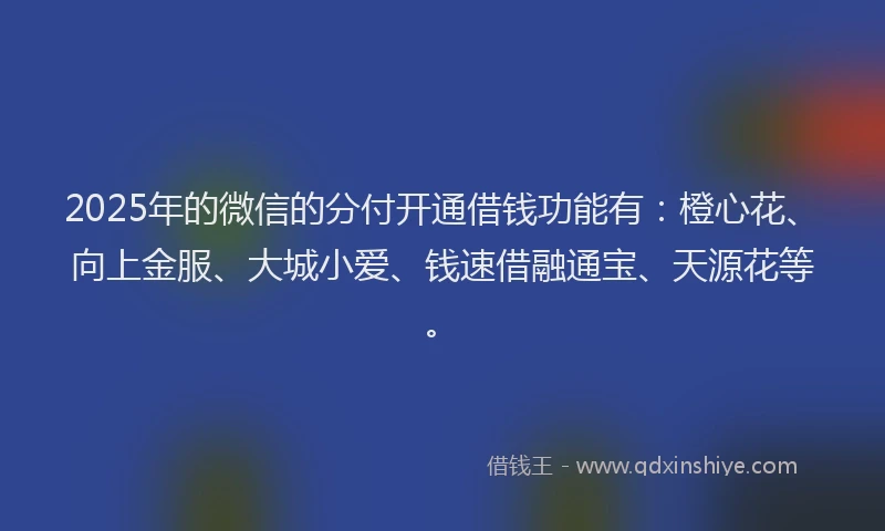 2025年的微信的分付开通借钱功能有：橙心花、向上金服、大城小爱、钱速借融通宝、天源花等。