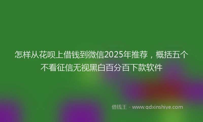 怎样从花呗上借钱到微信2025年推荐，概括五个不看征信无视黑白百分百下款软件