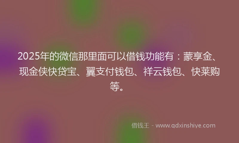 2025年的微信那里面可以借钱功能有：蒙享金、现金侠快贷宝、翼支付钱包、祥云钱包、快莱购等。
