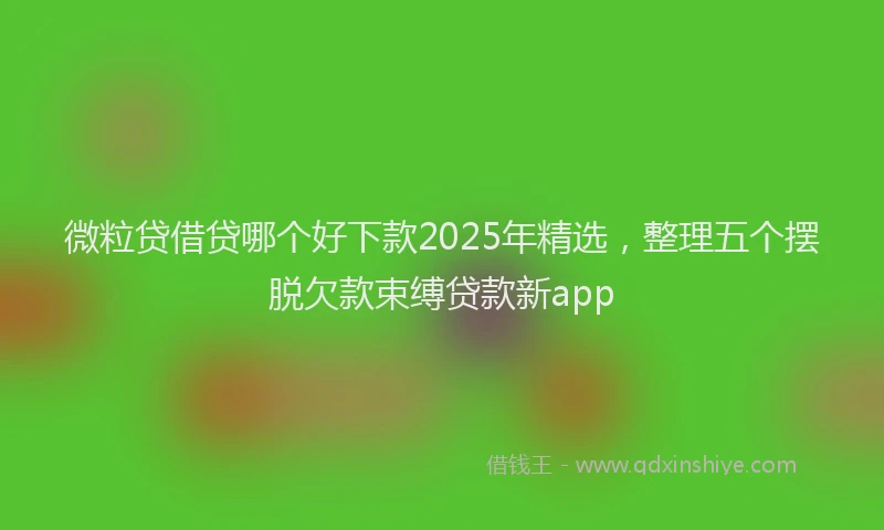 微粒贷借贷哪个好下款2025年精选，整理五个摆脱欠款束缚贷款新app
