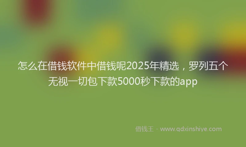 怎么在借钱软件中借钱呢2025年精选，罗列五个无视一切包下款5000秒下款的app