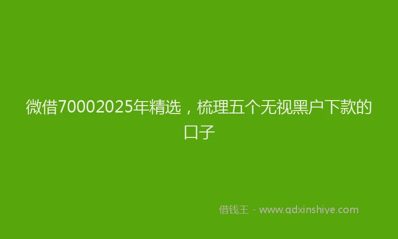 微借70002025年精选，梳理五个无视黑户下款的口子
