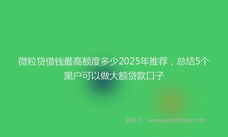 微粒贷借钱最高额度多少2025年推荐，总结5个黑户可以做大额贷款口子