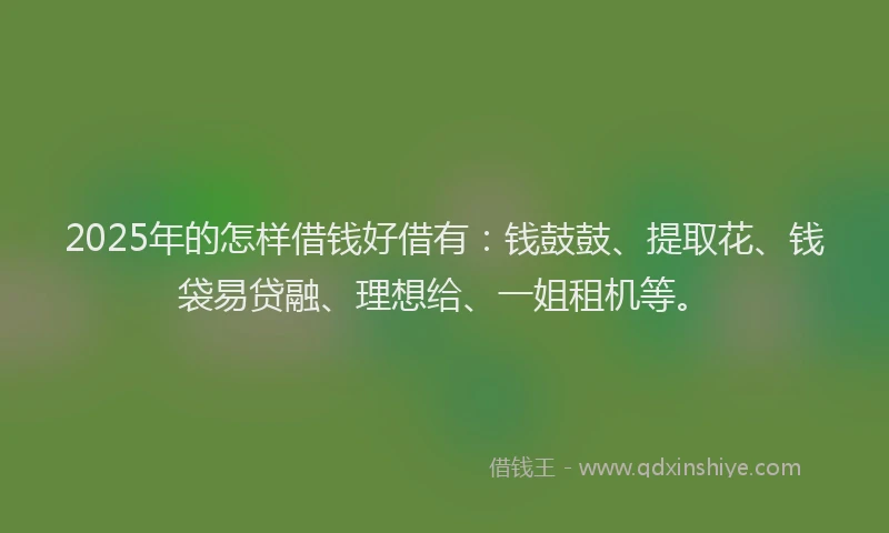 2025年的怎样借钱好借有：钱鼓鼓、提取花、钱袋易贷融、理想给、一姐租机等。
