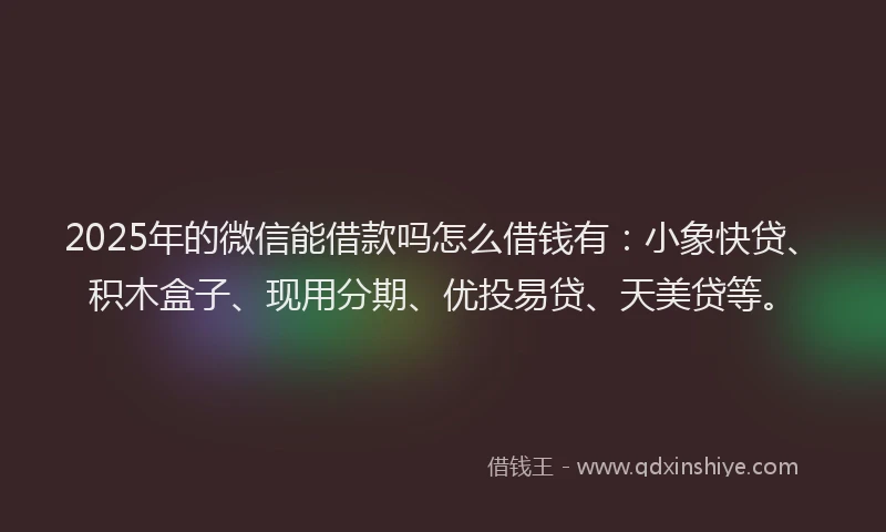 2025年的微信能借款吗怎么借钱有：小象快贷、积木盒子、现用分期、优投易贷、天美贷等。