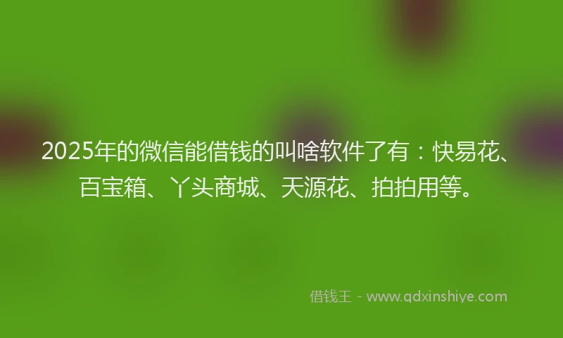 2025年的微信能借钱的叫啥软件了有：快易花、百宝箱、丫头商城、天源花、拍拍用等。