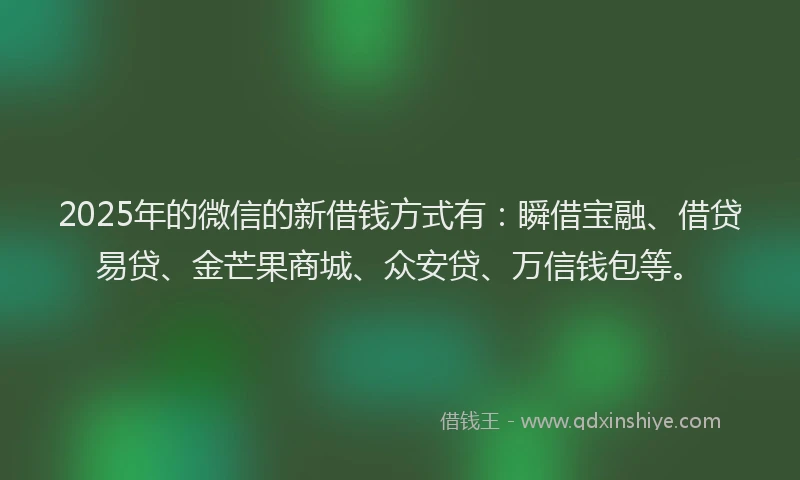 2025年的微信的新借钱方式有：瞬借宝融、借贷易贷、金芒果商城、众安贷、万信钱包等。