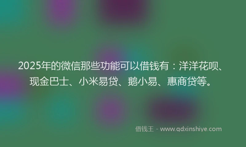 2025年的微信那些功能可以借钱有：洋洋花呗、现金巴士、小米易贷、鹅小易、惠商贷等。