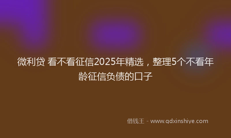 微利贷 看不看征信2025年精选，整理5个不看年龄征信负债的口子