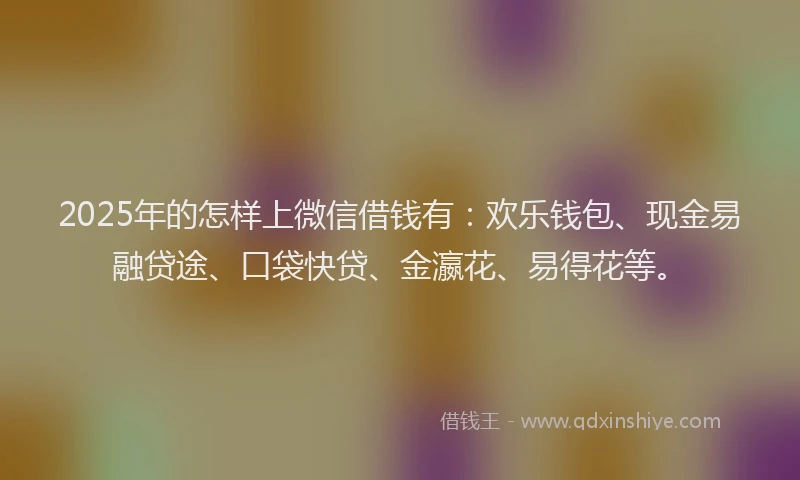 2025年的怎样上微信借钱有：欢乐钱包、现金易融贷途、口袋快贷、金瀛花、易得花等。