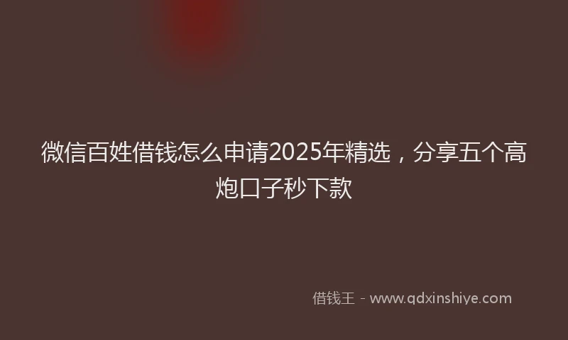 微信百姓借钱怎么申请2025年精选，分享五个高炮口子秒下款