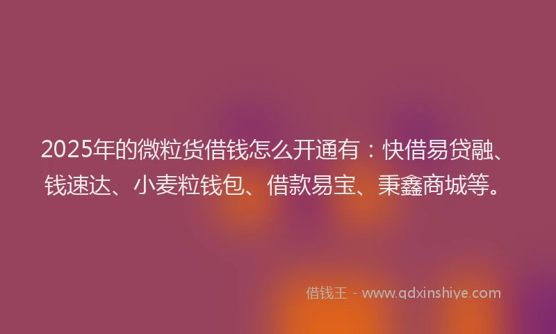 2025年的微粒货借钱怎么开通有：快借易贷融、钱速达、小麦粒钱包、借款易宝、秉鑫商城等。