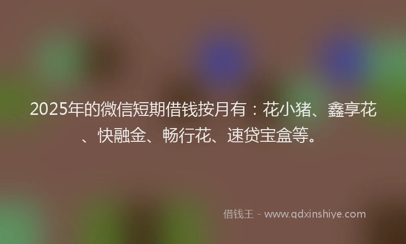 2025年的微信短期借钱按月有：花小猪、鑫享花、快融金、畅行花、速贷宝盒等。