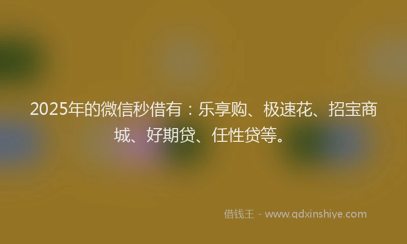 2025年的微信秒借有：乐享购、极速花、招宝商城、好期贷、任性贷等。