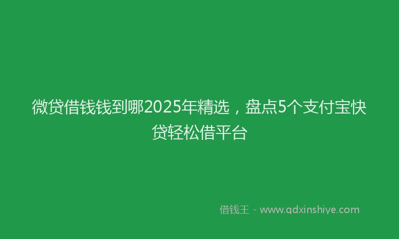 微贷借钱钱到哪2025年精选，盘点5个支付宝快贷轻松借平台