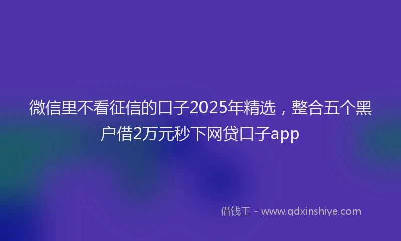 微信里不看征信的口子2025年精选，整合五个黑户借2万元秒下网贷口子app
