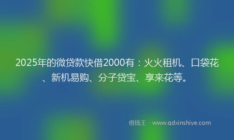 2025年的微贷款快借2000有：火火租机、口袋花、新机易购、分子贷宝、享来花等。