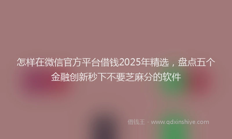 怎样在微信官方平台借钱2025年精选，盘点五个金融创新秒下不要芝麻分的软件