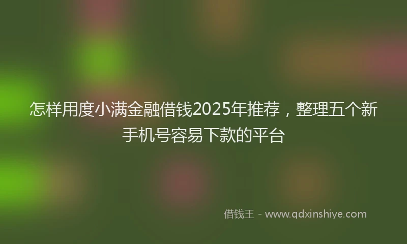 怎样用度小满金融借钱2025年推荐，整理五个新手机号容易下款的平台