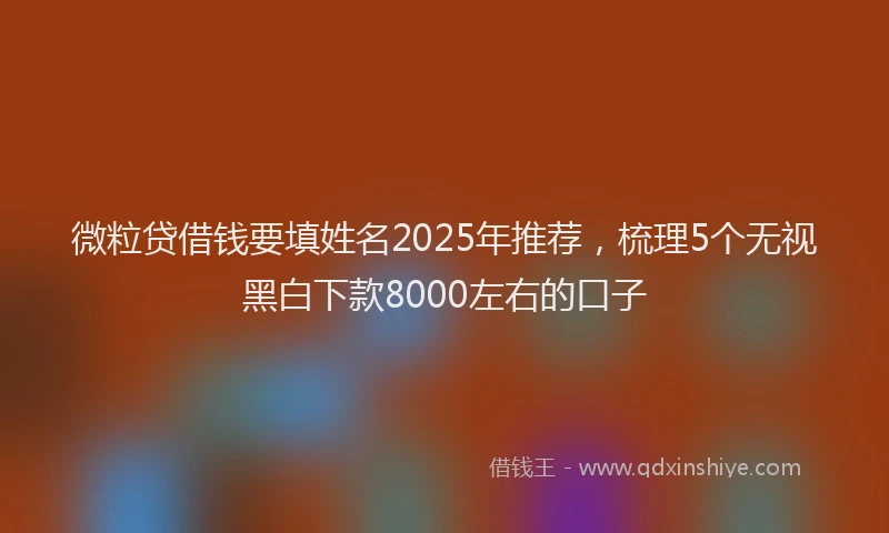 微粒贷借钱要填姓名2025年推荐，梳理5个无视黑白下款8000左右的口子