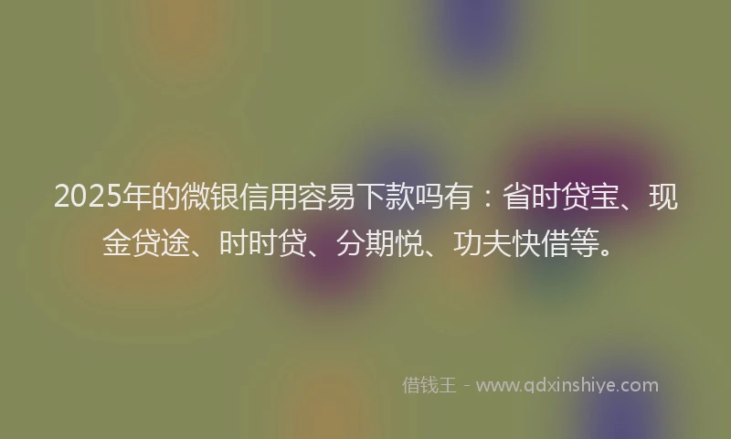 2025年的微银信用容易下款吗有：省时贷宝、现金贷途、时时贷、分期悦、功夫快借等。