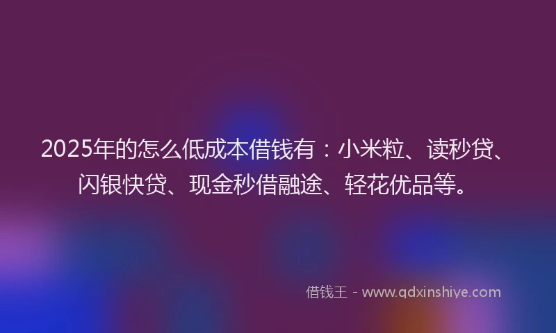 2025年的怎么低成本借钱有：小米粒、读秒贷、闪银快贷、现金秒借融途、轻花优品等。