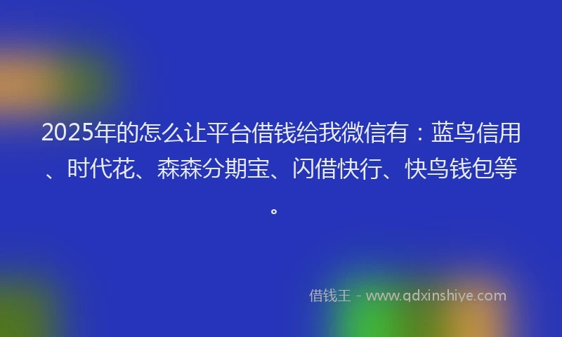 2025年的怎么让平台借钱给我微信有：蓝鸟信用、时代花、森森分期宝、闪借快行、快鸟钱包等。