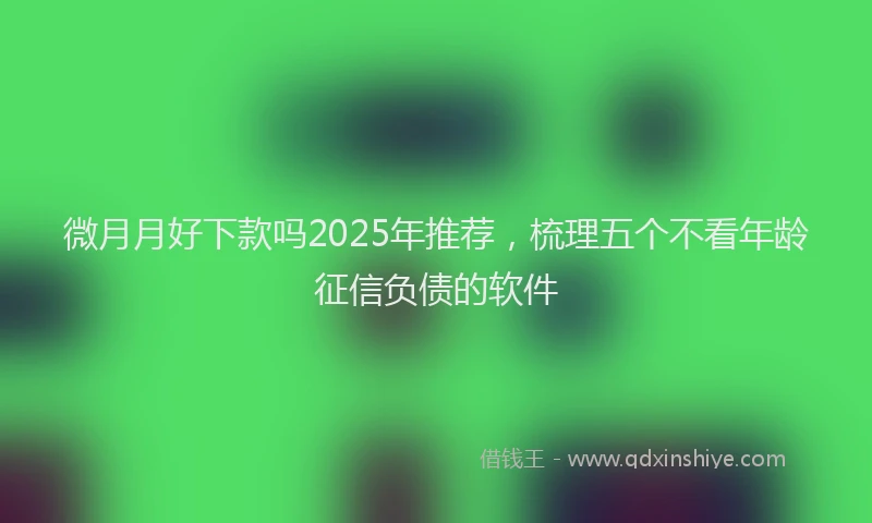 微月月好下款吗2025年推荐，梳理五个不看年龄征信负债的软件