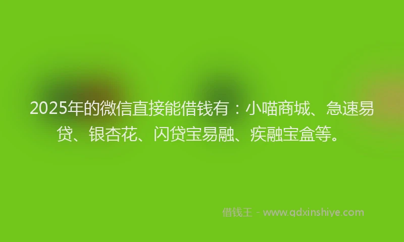 2025年的微信直接能借钱有：小喵商城、急速易贷、银杏花、闪贷宝易融、疾融宝盒等。
