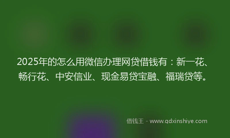 2025年的怎么用微信办理网贷借钱有：新一花、畅行花、中安信业、现金易贷宝融、福瑞贷等。