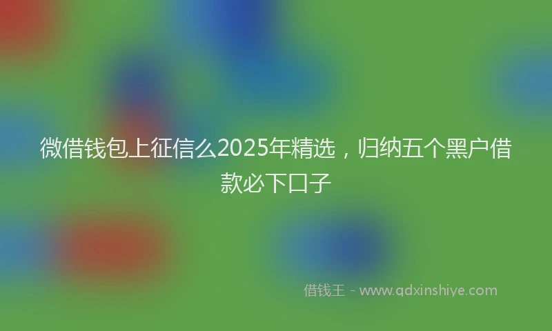 微借钱包上征信么2025年精选，归纳五个黑户借款必下口子