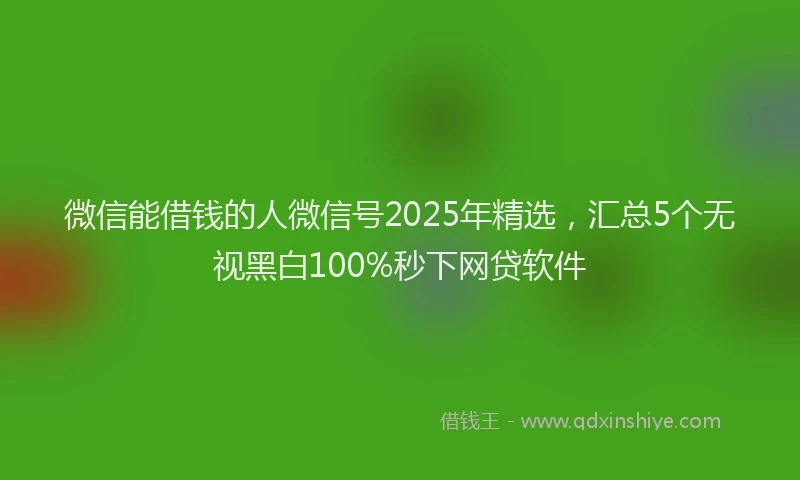微信能借钱的人微信号2025年精选，汇总5个无视黑白100%秒下网贷软件