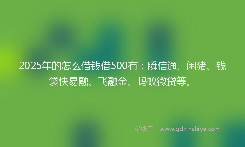 2025年的怎么借钱借500有：瞬信通、闲猪、钱袋快易融、飞融金、蚂蚁微贷等。