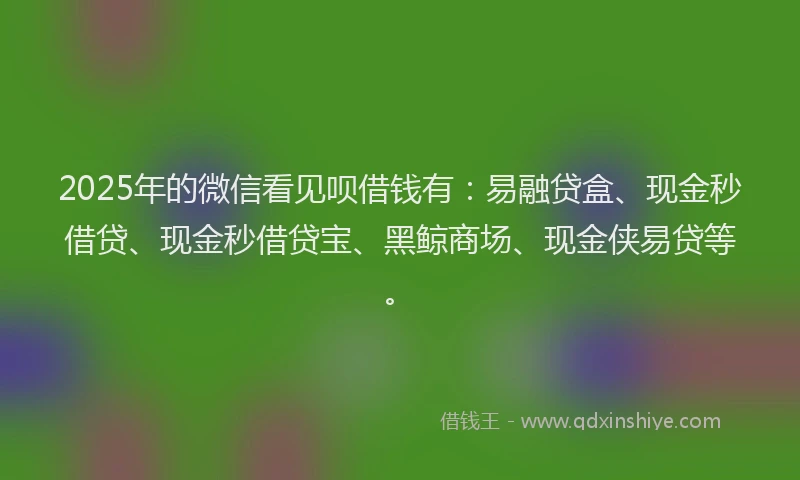 2025年的微信看见呗借钱有：易融贷盒、现金秒借贷、现金秒借贷宝、黑鲸商场、现金侠易贷等。