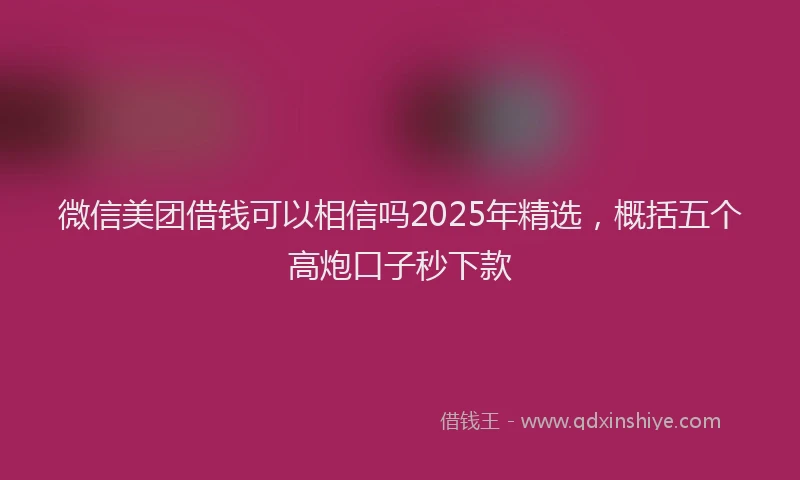 微信美团借钱可以相信吗2025年精选，概括五个高炮口子秒下款